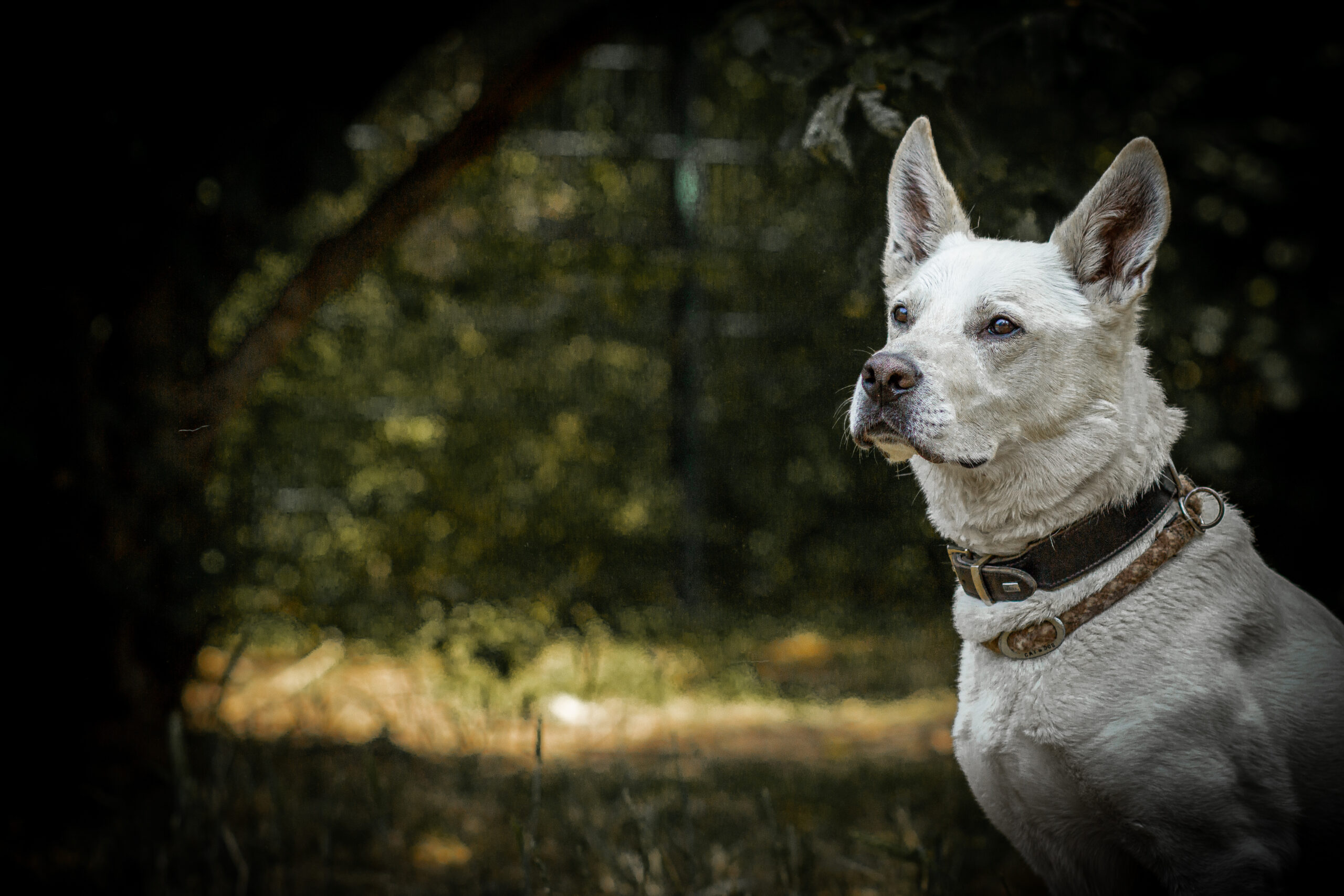 IMG_6773-Edit