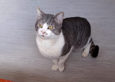 Jakob