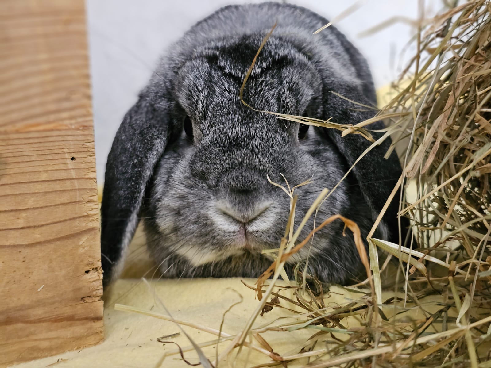 WhatsApp Image 2025-10-21 at 12.31.57