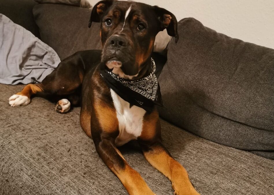 Neo