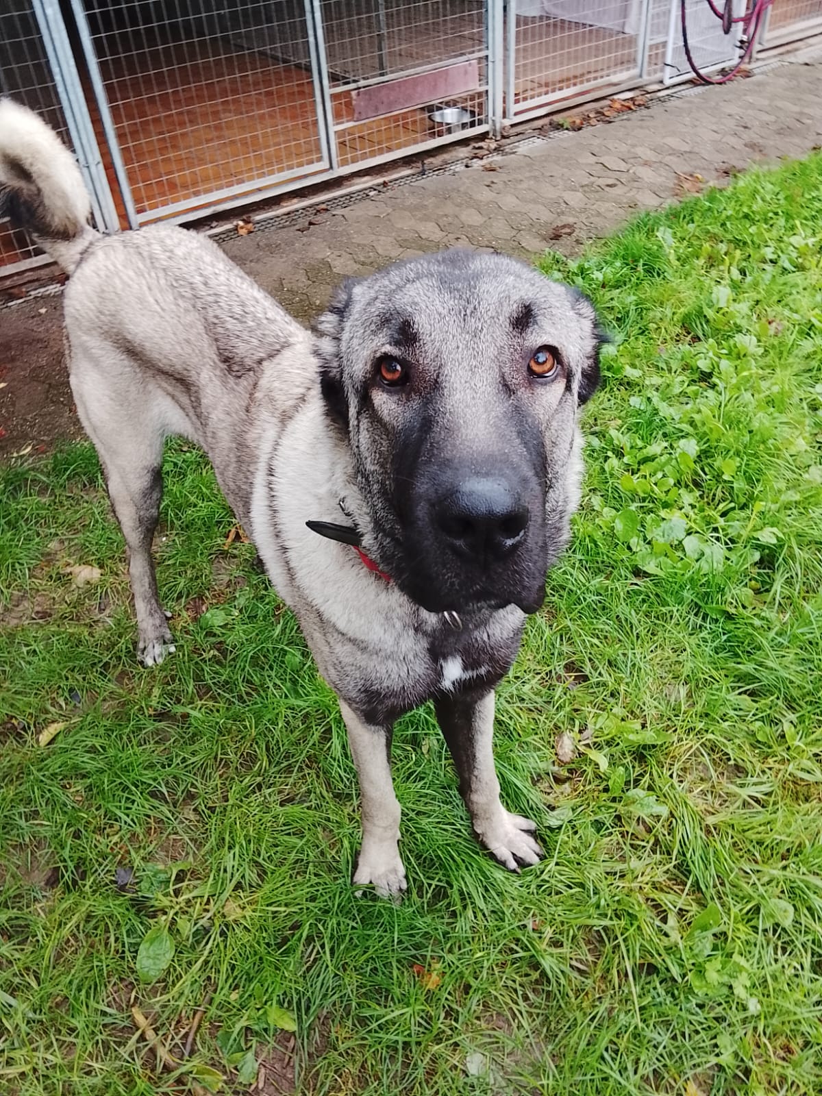 WhatsApp Image 2025-09-25 at 15.04.38