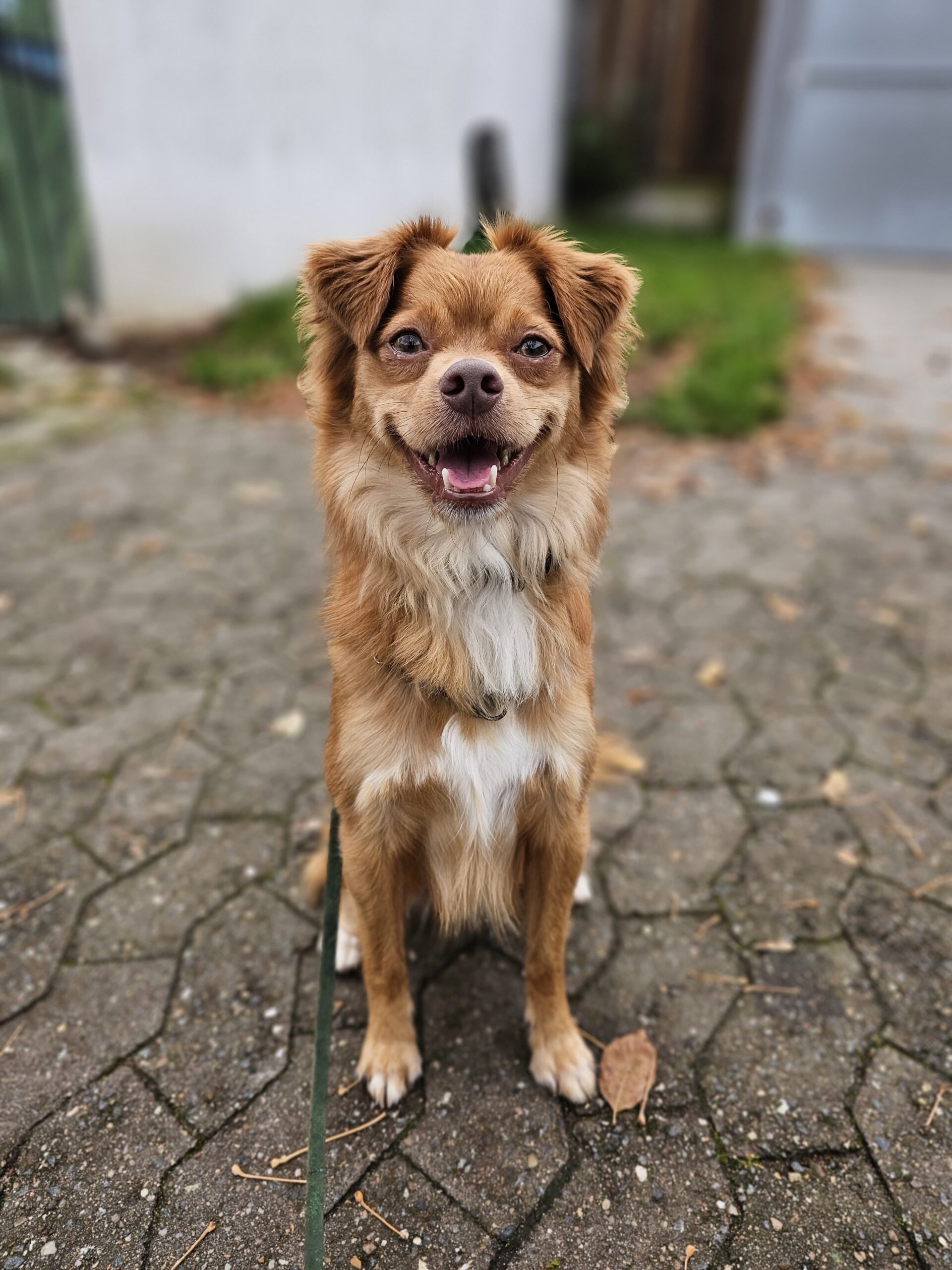 0b675d49-b0f2-4797-96af-7c38d8607698