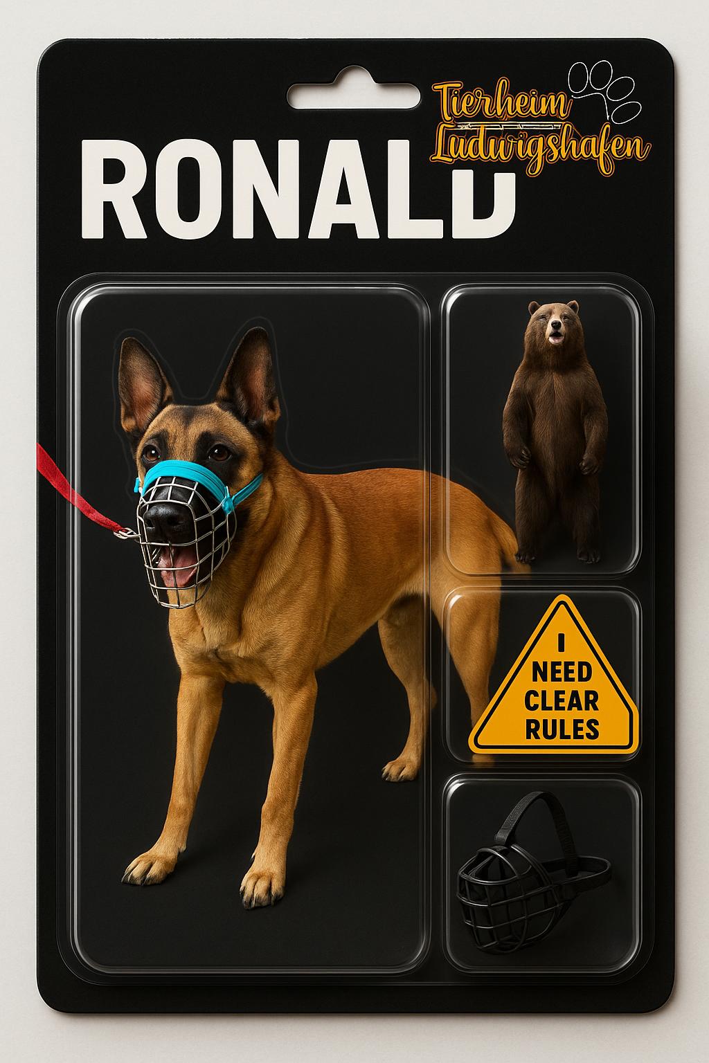 WhatsApp Image 2025-10-22 at 11.26.18