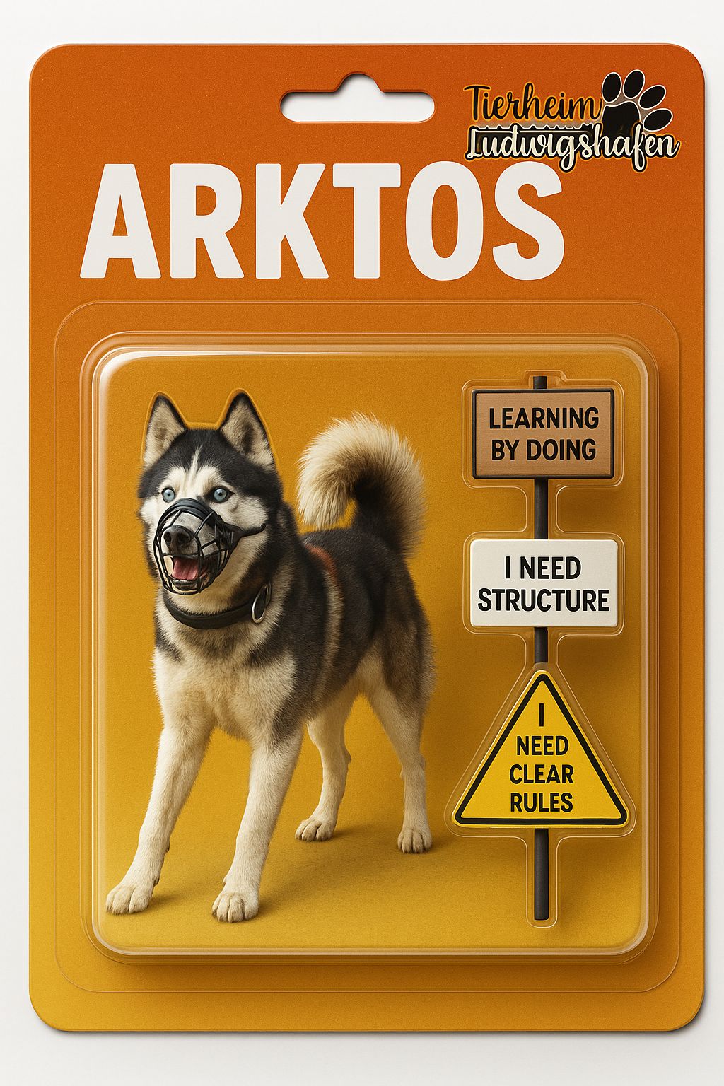 WhatsApp Image 2025-10-22 at 14.37.36