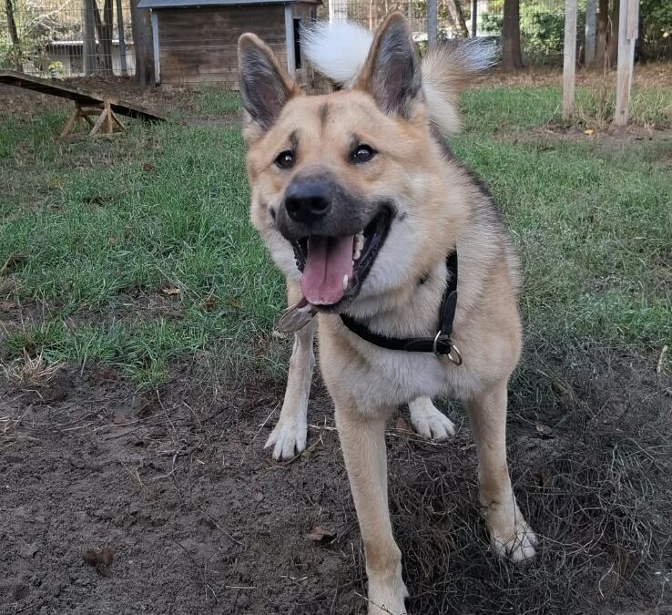 Nikita